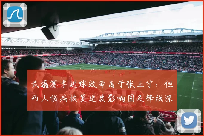 武磊赛季进球效率高于张玉宁,但两人伤病恢复进度影响国足锋线深度